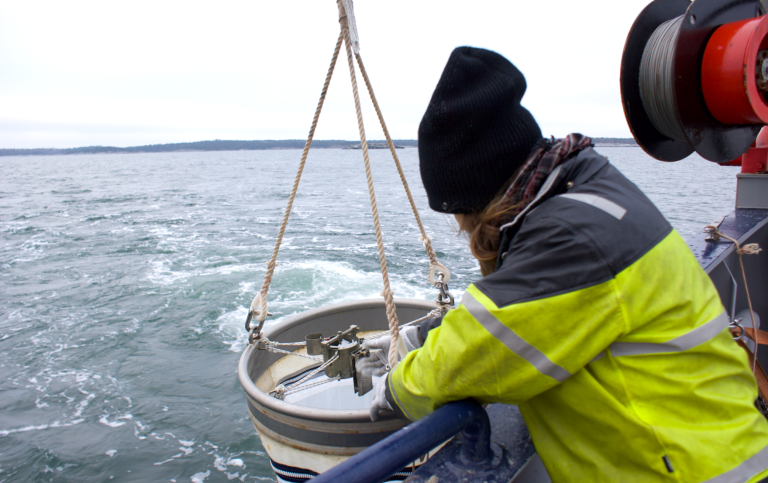Djurplankton fångas in med hjälp av en stor håv. Foto: Michaela Lundell